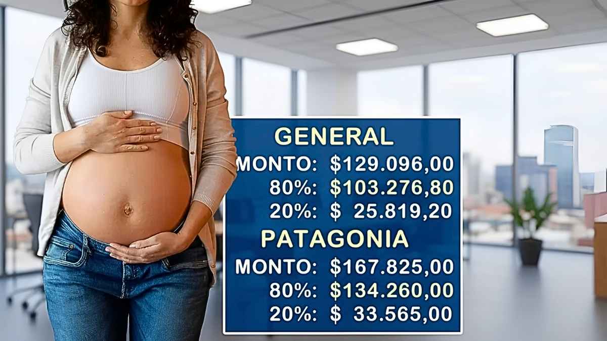ANSES 2026: Asignación por Embarazo Sube a $129.096 en Febrero